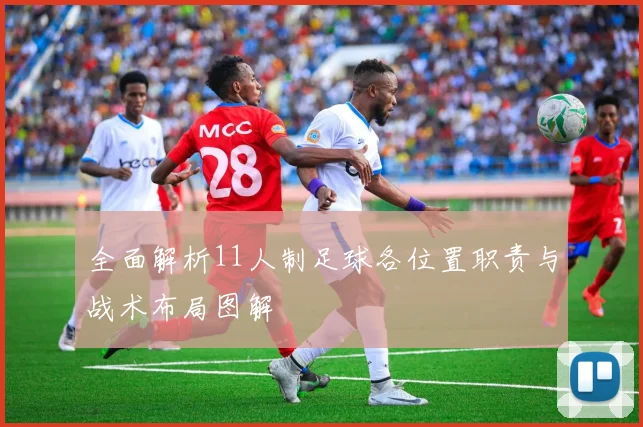 全面解析11人制足球各位置职责与战术布局图解
